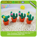 cactus Shaped Eraser, Vlakgomstift puzzel